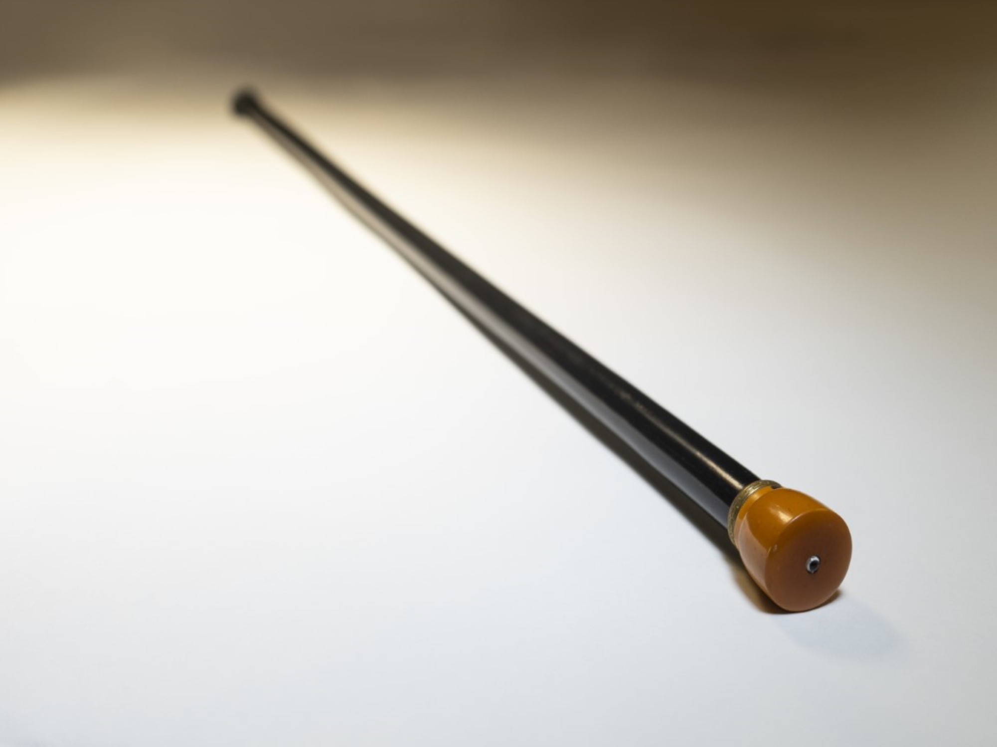 Titanic Unique Walking Cane Sold For £100000
