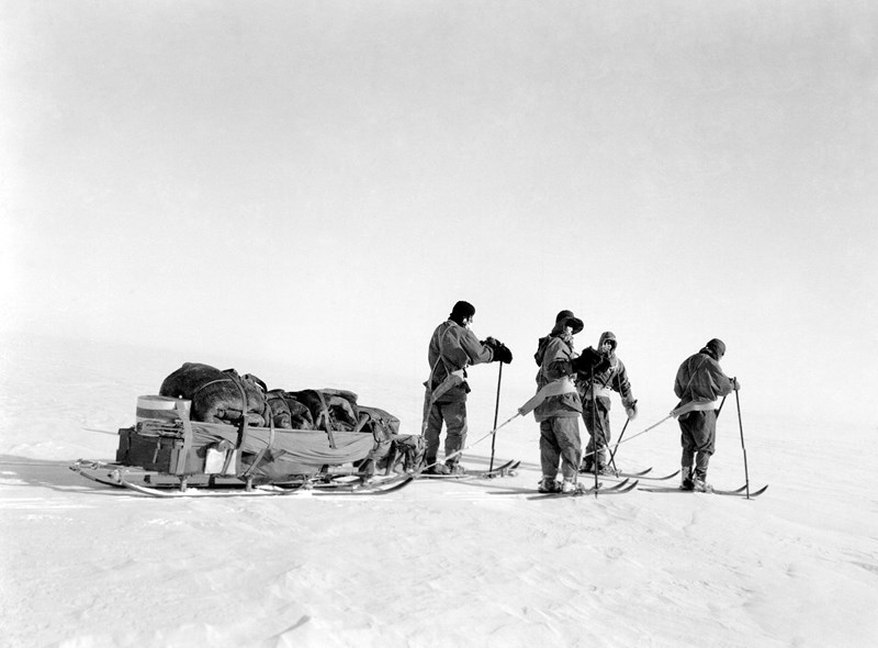 Iconic Collectables Archive Of Photos From The Ill Fated Terra Nova Sold For £36000 (2)